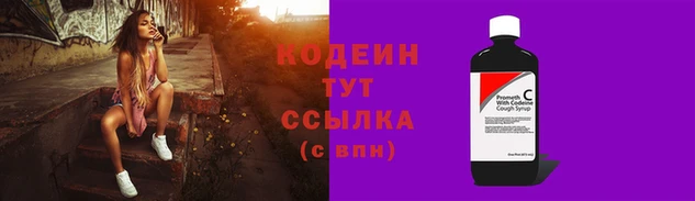 шишки Кизел