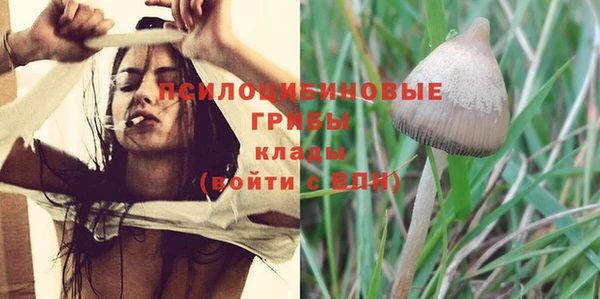 apvp Туринск